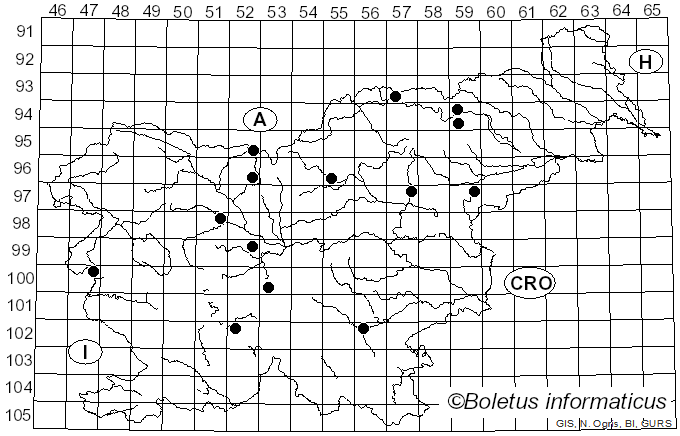 <i>Clitocybula</i> (Singer) Singer ex Métrod (1952)