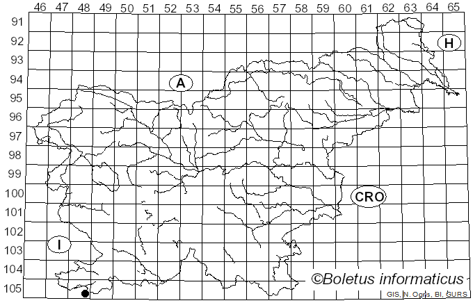 <i>Phellinus luctuosus</i> (Ces.) Ryvarden (1972)