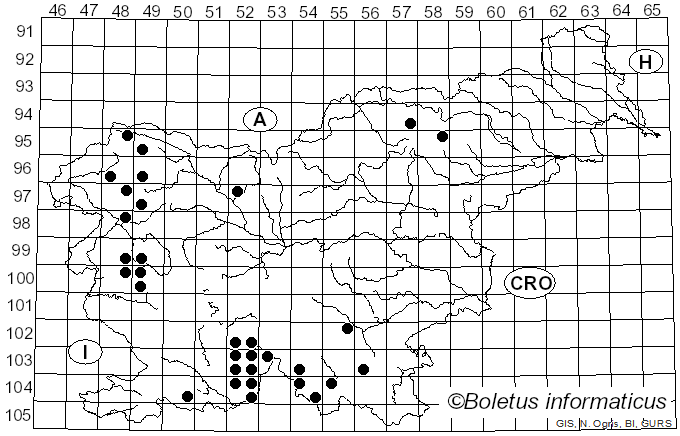 <i>Pertusaria pertusa</i> (L.) Tuck. (1845)