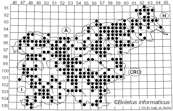 <i>Entoloma</i> (Fr.) P. Kumm. (1871)