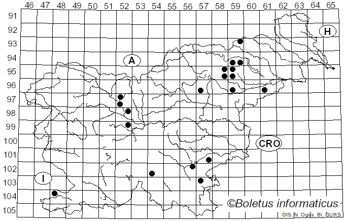 <i>Russula alnetorum</i> Romagn. (1956)