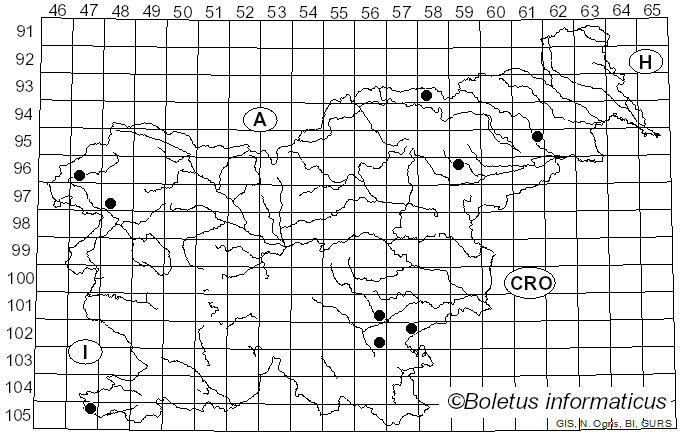 <i>Mycena erubescens</i> Höhn. (1913)