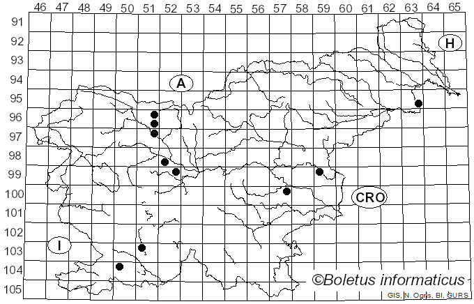 <i>Mucronella</i> Fr. (1874)