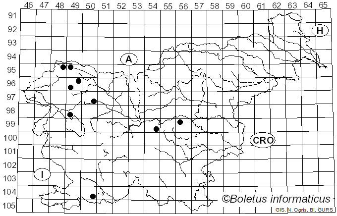 <i>Diploschistes</i> Norman (1853)