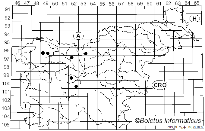 <i>Syrphus torvus</i> Osten Sacken