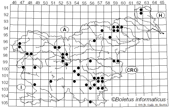 <i>Lactarius fluens</i> Boud. (1899)
