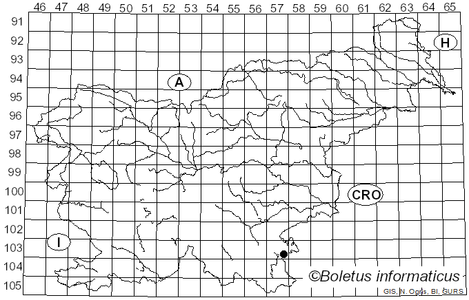 <i>Chaetosphaeria ovoidea</i> (Fr.) Constant., K. Holm & L. Holm (1995)
