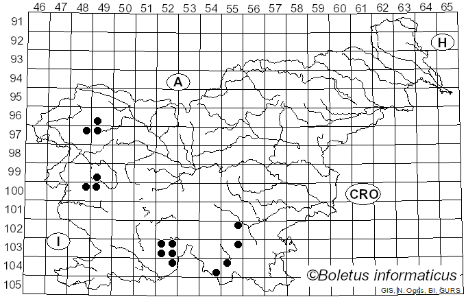 <i>Peltigera collina</i> (Ach.) Röhl. (1813)