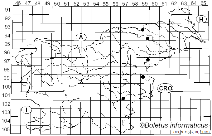 <i>Entoloma papillatum</i> (Bres.) Dennis (1953)
