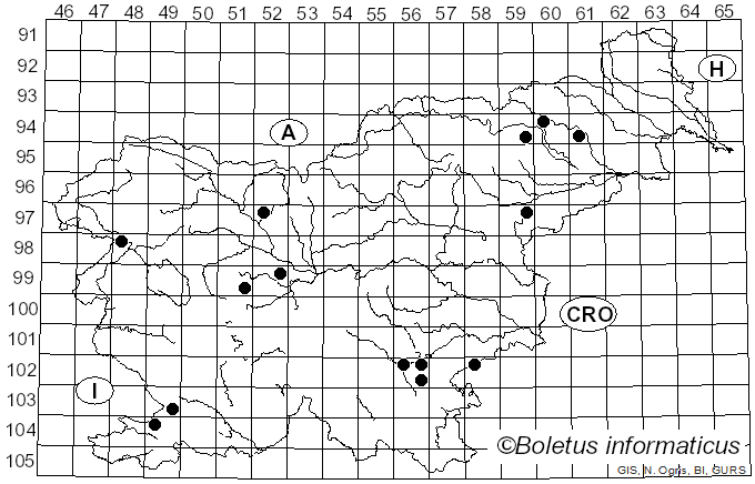 <i>Porostereum spadiceum</i> (Pers.) Hjortstam & Ryvarden (1990)
