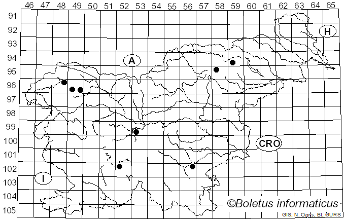 <i>Leptoporus mollis</i> (Pers.) Quél. (1886)