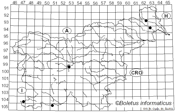 <i>Tomicus piniperda</i> Linnaeus (1758)