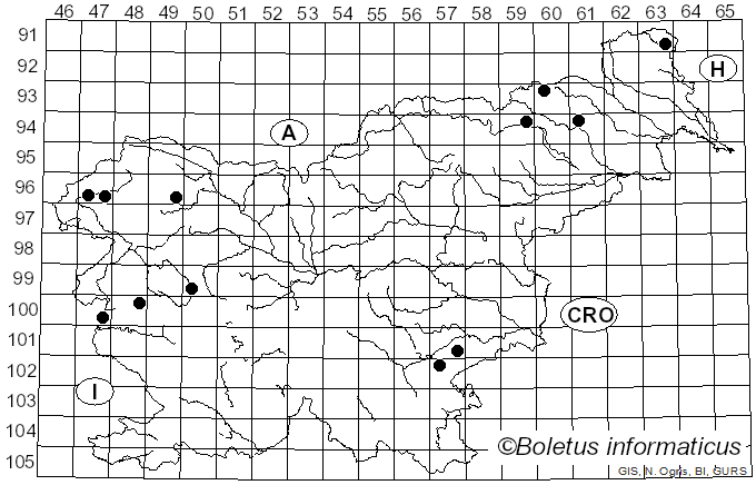<i>Mycena metata</i> (Secr. ex Fr.) Quél. (1871)