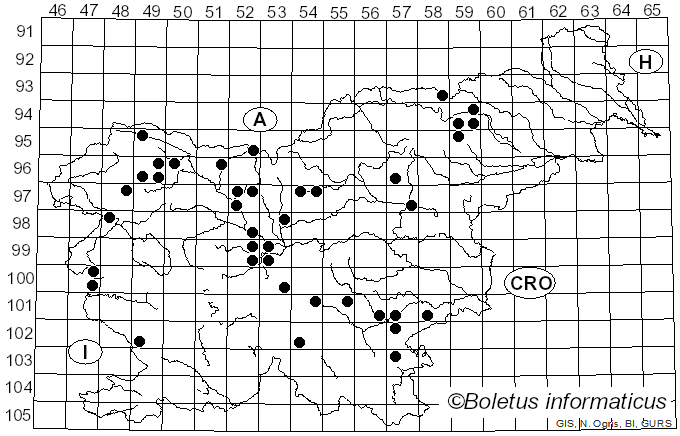 <i>Tricholoma inamoenum</i> (Fr.) Gillet (1874)
