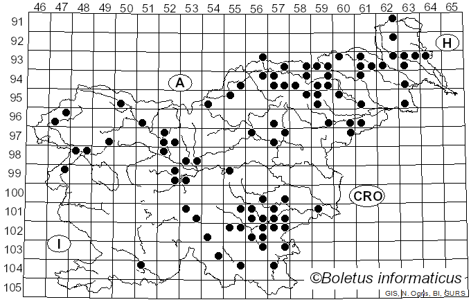 <i>Cyanoboletus pulverulentus</i> (Opat.) Gelardi, Vizzini & Simonini (2014)