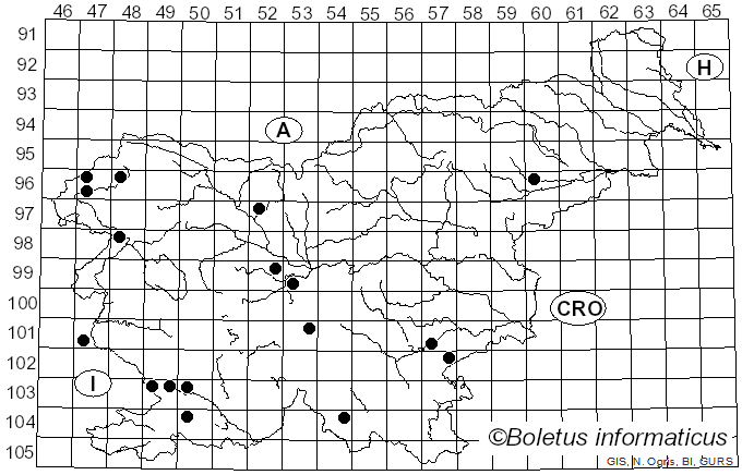 <i>Dichomitus</i> D.A. Reid (1965)