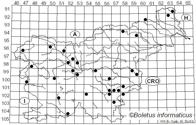 <i>Mycena abramsii</i> (Murrill) Murrill (1916)