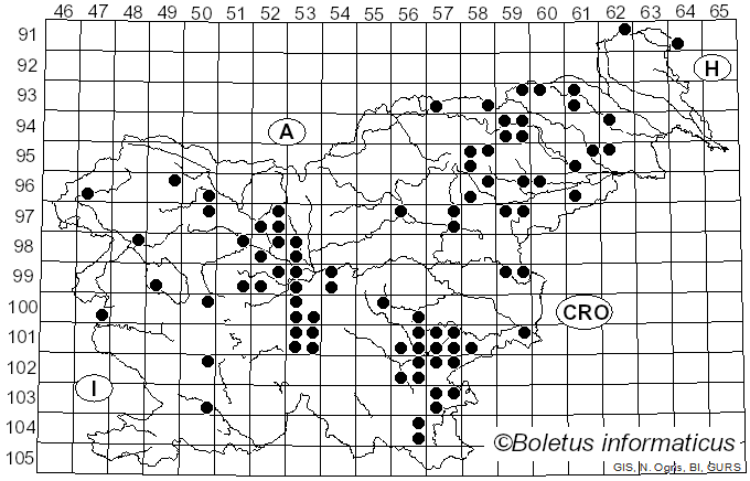 <i>Lacrymaria</i> Pat. (1887)