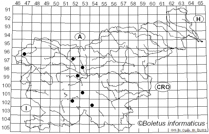 <i>Melanoleuca luteolosperma</i> (Britzelm.) Singer (1935)