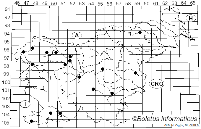 <i>Hygrocybe mucronella</i> (Fr.) P. Karst.