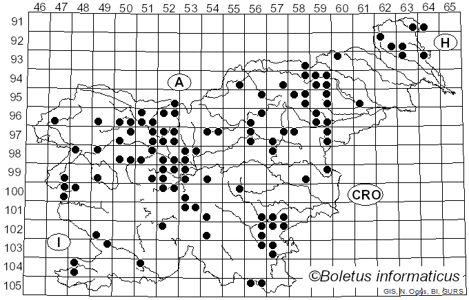 <i>Aleuria aurantia</i> (Pers.) Fuckel (1870)