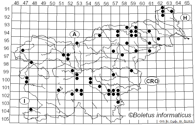 <i>Hebeloma sacchariolens</i> Quél. (1879)