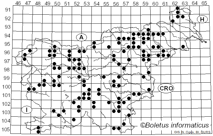 <i>Rickenella</i> Raithelh. (1973)