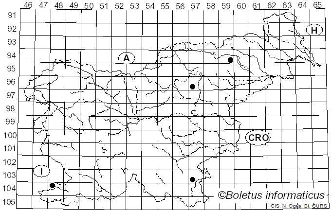 <i>Cortinarius holophaeus</i> J.E. Lange (1935)
