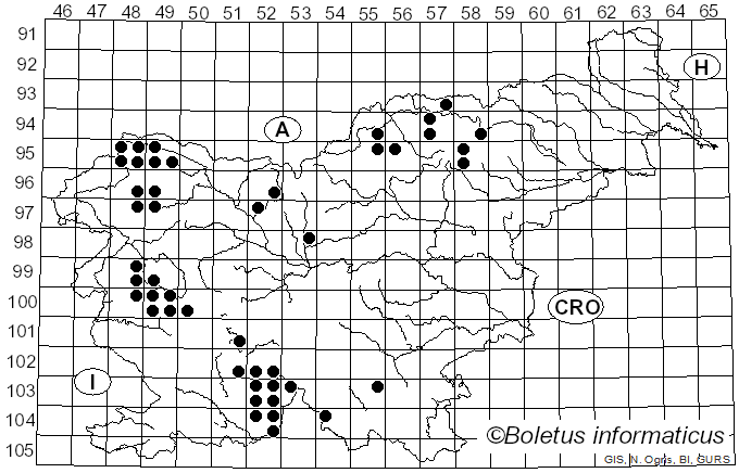 <i>Lepraria</i> Ach. (1803)