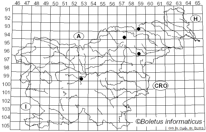 <i>Entoloma rhombisporum</i> (Kühner & Boursier) E. Horak (1976)