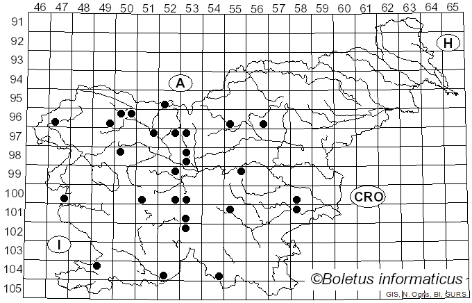 <i>Hemitrichia serpula</i> (Scop.) Rostaf. (1873)