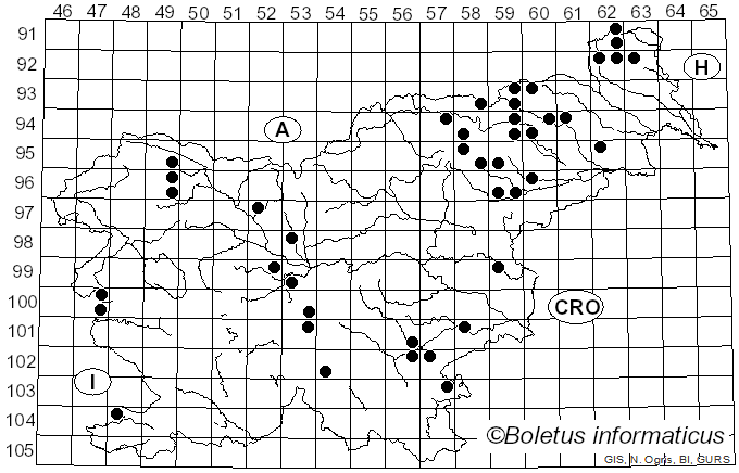 <i>Collybia cirrhata</i> (Schumach.) P. Kumm. (1872)