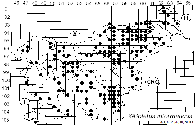 <i>Russula albonigra</i> (Krombh.) Fr. (1874)