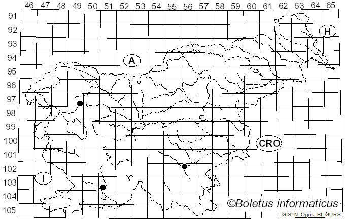 <i>Thecaphora saponariae</i> (F. Rudolphi) Vánky (1998)