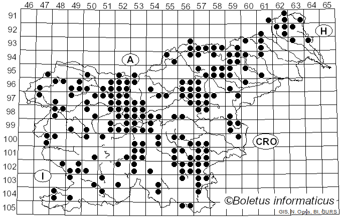 <i>Craterellus tubaeformis</i> (Fr.) Quél. (1888)