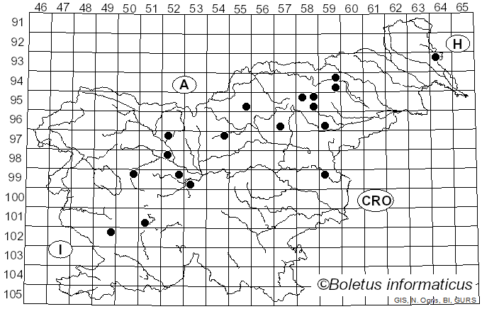 <i>Cortinarius uraceus</i> Fr. (1838)