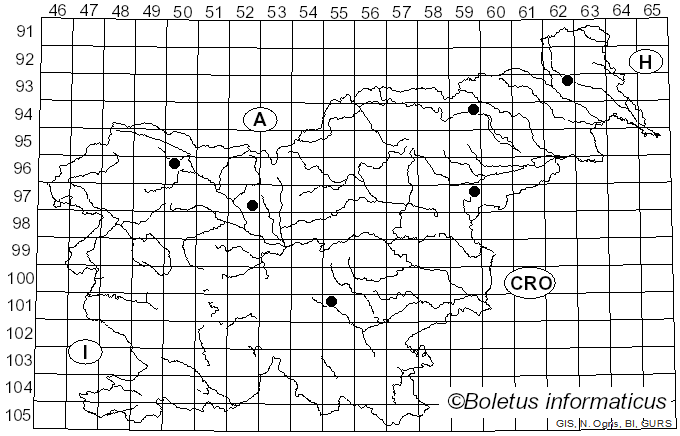 <i>Hohenbuehelia atrocoerulea</i> (Fr.) Singer (1951)