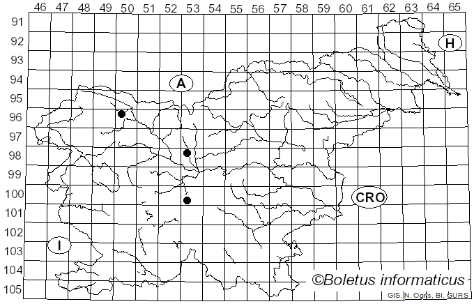 <i>Stemonitopsis hyperopta</i> (Meyl.) Nann.-Bremek. (1975)