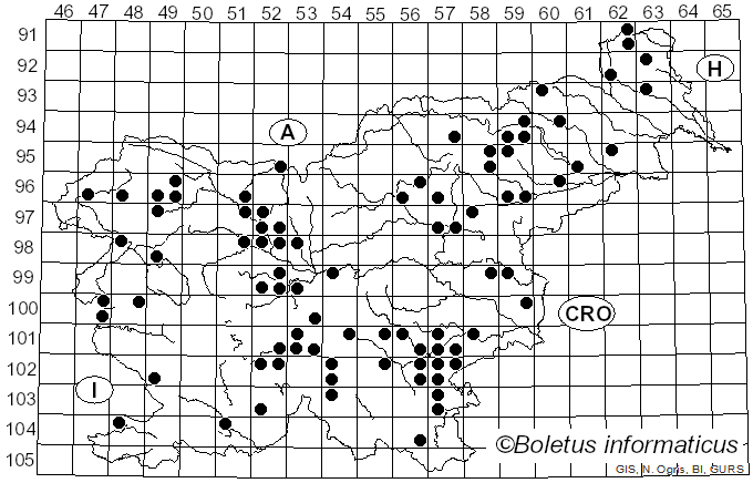 <i>Mycena rosella</i> (Fr.) P. Kumm. (1871)