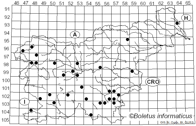 <i>Lactarius rubrocinctus</i> Fr. (1863)