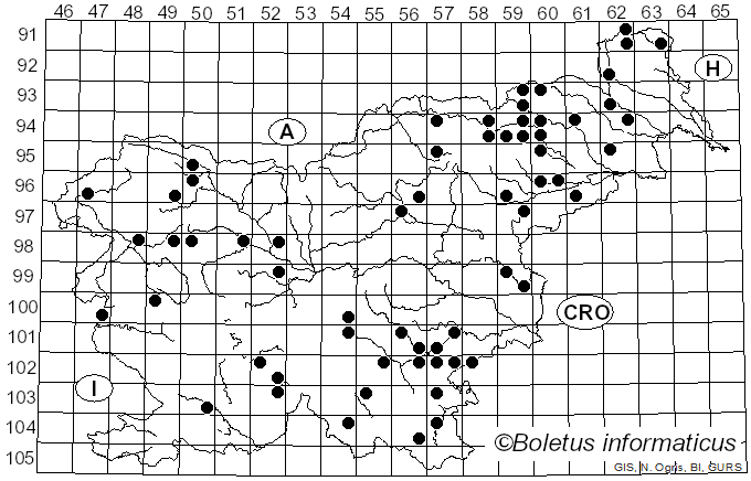 <i>Crepidotus applanatus</i> (Pers.) P. Kumm. (1871)