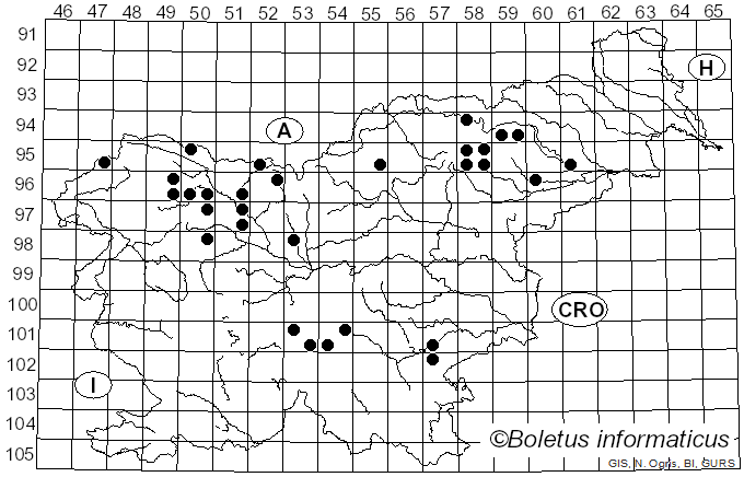<i>Chrysomphalina</i> Clémençon (1982)