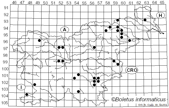 <i>Echinoderma echinaceum</i> (J.E. Lange) Bon (1991)