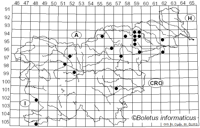 <i>Cortinarius rapaceus</i> Fr. (1838)