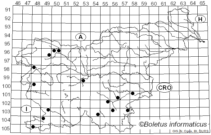 <i>Radulomyces</i> M.P. Christ. (1960)