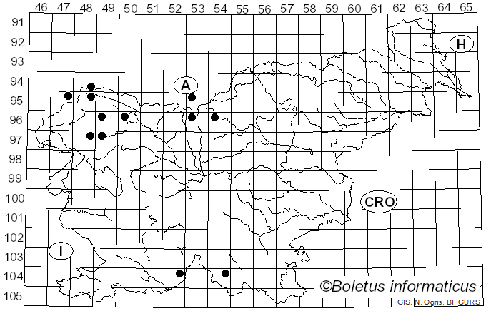 <i>Cheilosia vicina</i> Zetterstedt
