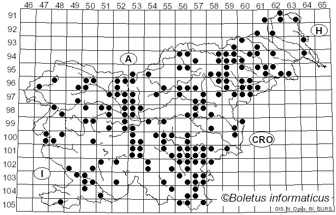<i>Cyathus striatus</i> (Huds.) Willd. (1787)