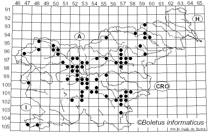 <i>Inosperma erubescens</i> (A. Blytt) Matheny & Esteve-Rav. (2019)