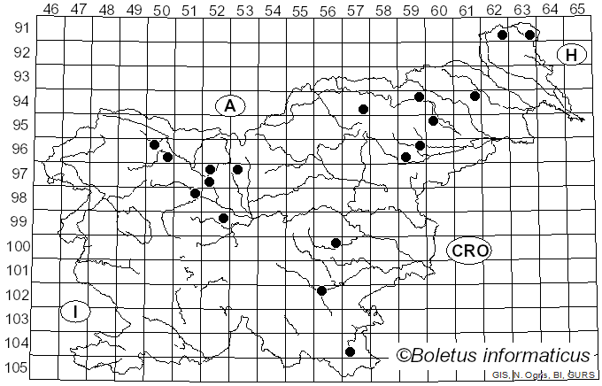 <i>Mycosarcoma maydis</i> (DC.) Bref. (1912)