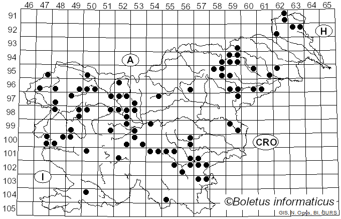 <i>Calycina citrina</i> (Hedw.) Gray (1821)